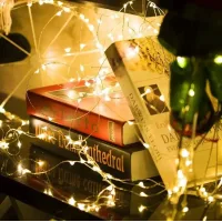 Універсальна гірлянда 5м Батарейка+USB тепле світло 300 LED