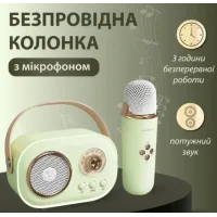 Акустична система «RETRO» з мікрофоном ∙ Бездротова портативна Bluetooth колонка на акумуляторі ∙ Міні-караоке