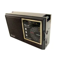 Портативний радіоприймач Golon RX-9933 з акумулятором, USB, SD, FM радіо