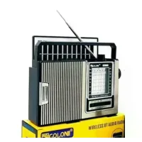 Портативний радіоприймач GOLON RX-251 з акумулятором і сонячною панеллю • Акумуляторне ретро-радіо GOLON RX-251 5 Вт для дому, дачі та поїздок