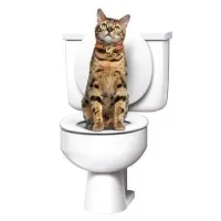 Система привчання котів до унітазу Туалет для кота Citi Kitty Cat Toilet Training