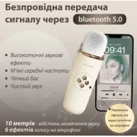 Акустична система «RETRO» з мікрофоном ∙ Бездротова портативна Bluetooth колонка на акумуляторі ∙ Міні-караоке