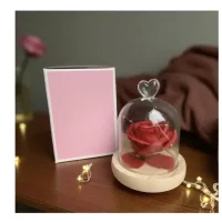 Бутон троянди в колбі романтичний подарунок ∙ Троянда під куполом стильний декор