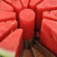 Круглый нож для нарезки арбуза, дыни, ананаса WATERMELON CUTTER ∙ Арбузорезка ∙ Дынерезка ∙